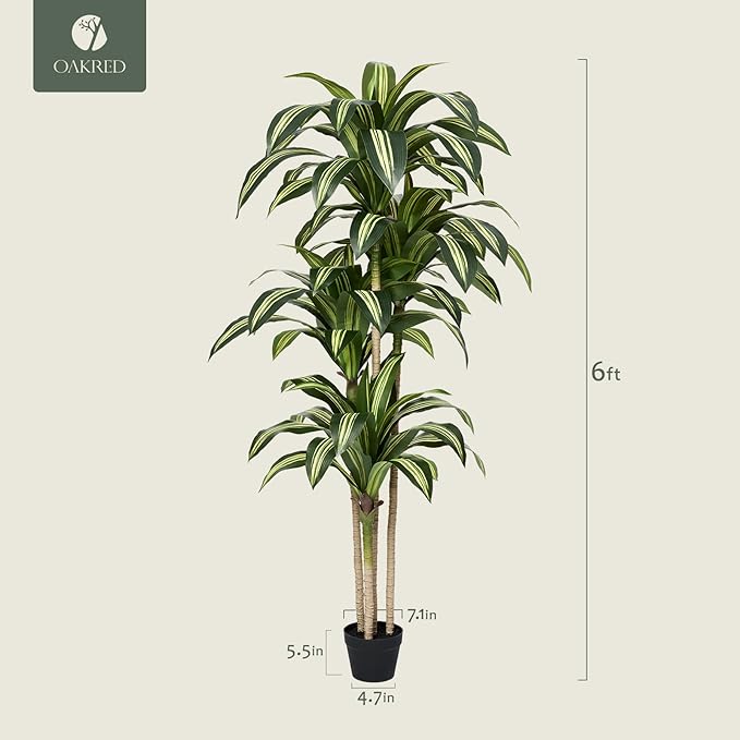 OAKRED Artificial Dracaena Tree 6FT Tall Fake Tree - Faux Indoor Plant with UV Resistant Potted Design - Realistic Large Artificial Plants for Home Living Room Office Decor Indoor