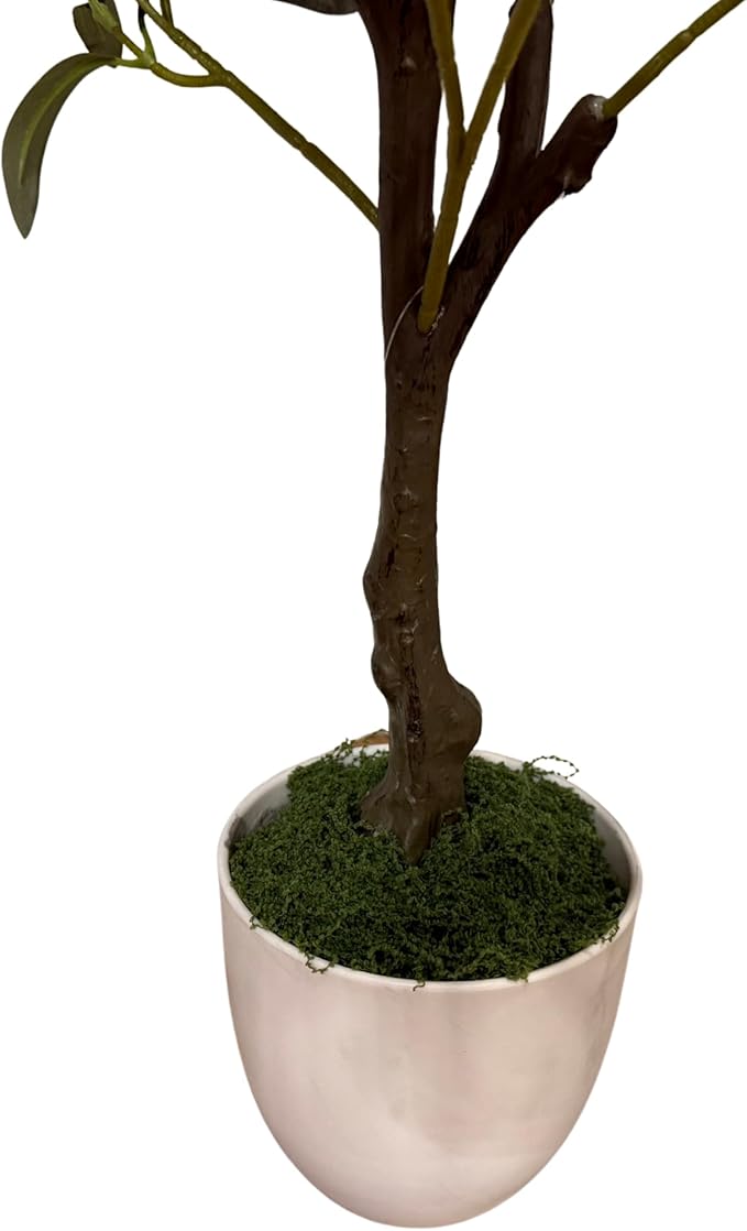 Olive Tree with Fruits & Free Pot and LED Lights - Realistic Faux Olive Tree for Home Decor, Indoor/Outdoor Use (Medium)