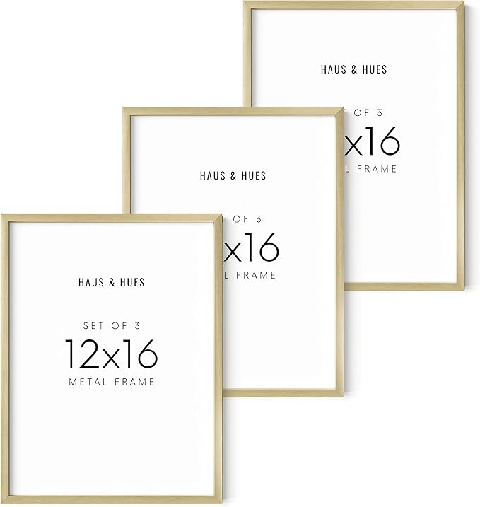 HAUS AND HUES 12x16 Gold Picture Frames - Modern Aluminum Wall Art Display - Lightweight 12x16 Frames for Posters, Prints, Photos - Ready-to-Hang Vertically & Horizontally (Set of 3)
