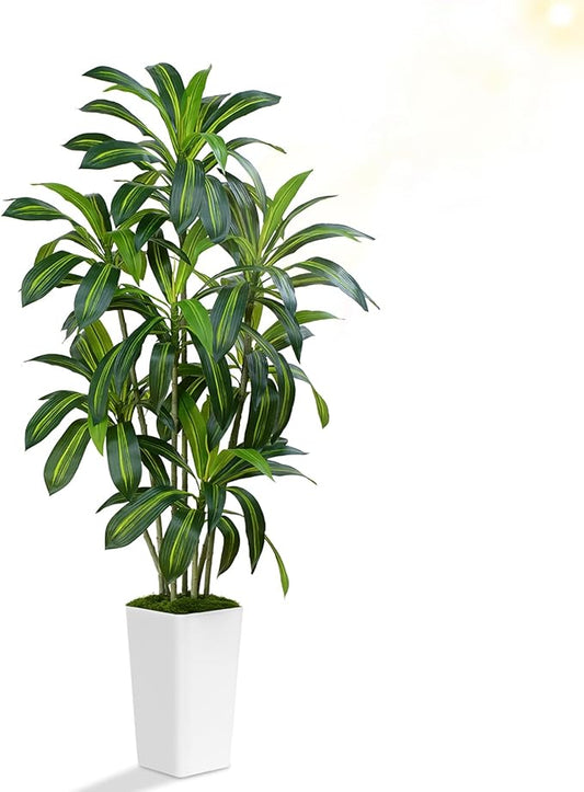ZEEOZE Dracaena Plant Artificial Tree 6Ft Tall Fake Tropical Floor Plants Potted (Real Touch) Artificial Silk Tree Leaf Faux Trees White Tall Planter for Home Office Living Room Indoor Outdoor Decor